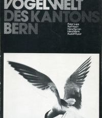 Die Vogelwelt des Kantons Bern. Eine Uebersicht.