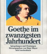 Goethe im zwanzigsten Jahrhundert. Spiegelungen und Deutungen.