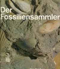 Der Fossiliensammler.
