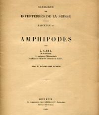 Amphipodes.