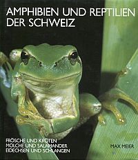 Amphibien und Reptilien der Schweiz. Frösche und Kröten, Molche und Salamander, Eidechsen und Schlangen.