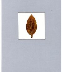Tabago. Ein Bilderbuch von Tabak und den Freuden des Rauchens$dHrsg. u. gedr. aus Anlaß d. 50jährigen Bestehens der Cigarettenfabriken H. f. & Ph. F. Reemtsma.